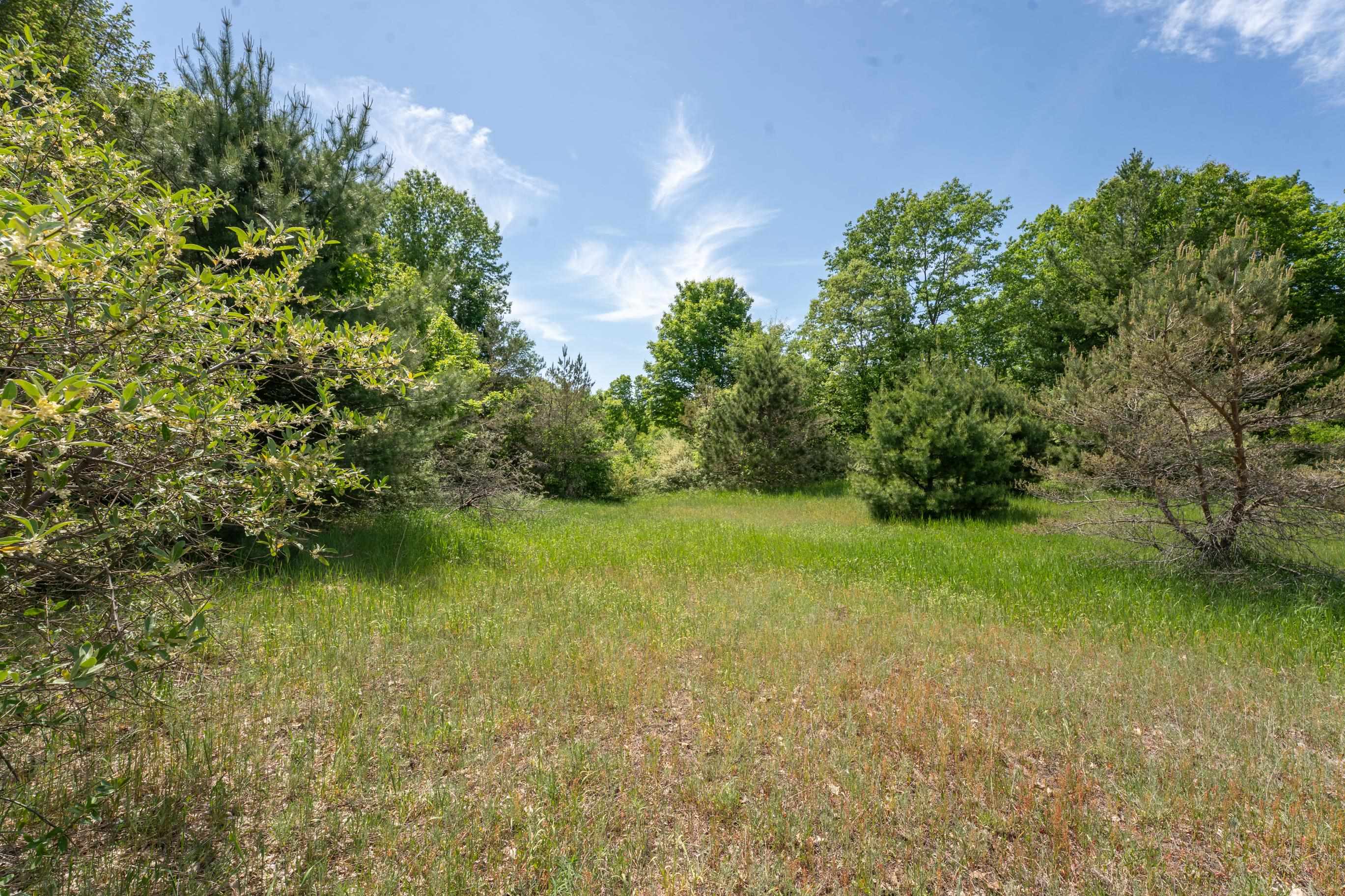 Tbd Traverse Road Thompsonville, MI 49683 - Photo 28 of 40