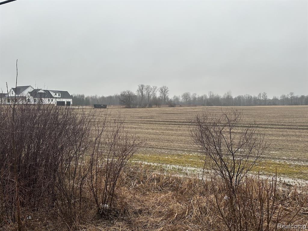 0 Romeo Plank Road Ray, MI 48096 - Photo 3 of 4