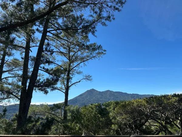 a view of a mountain with a tree in the background