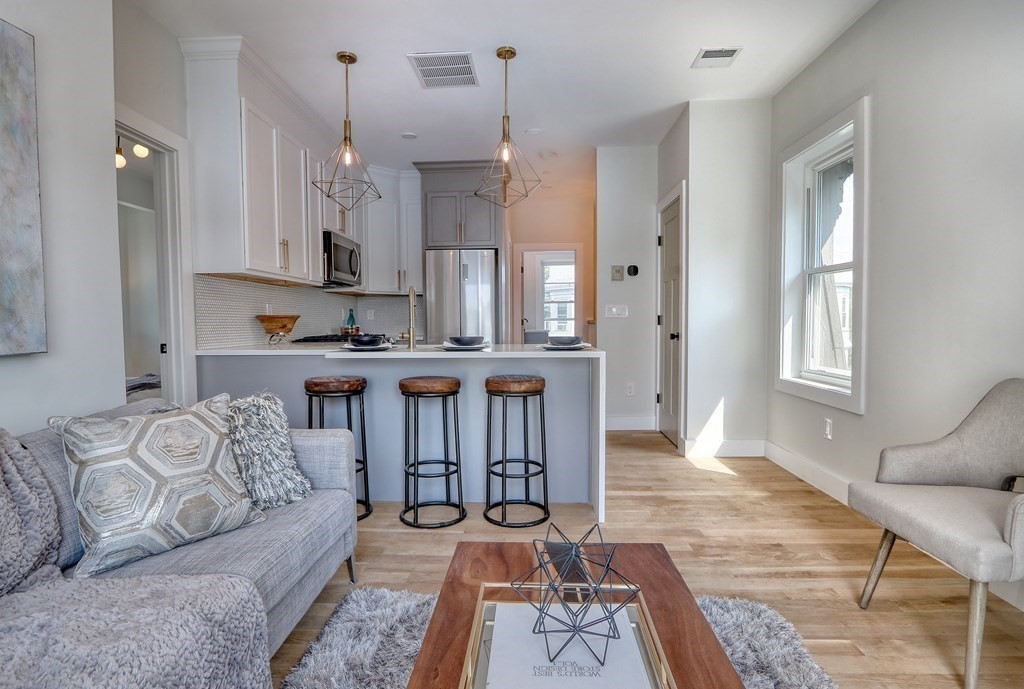 27 Alpine Street, Unit 3 Boston, MA 02119 - Photo 1 of 16 Gallery Image 1