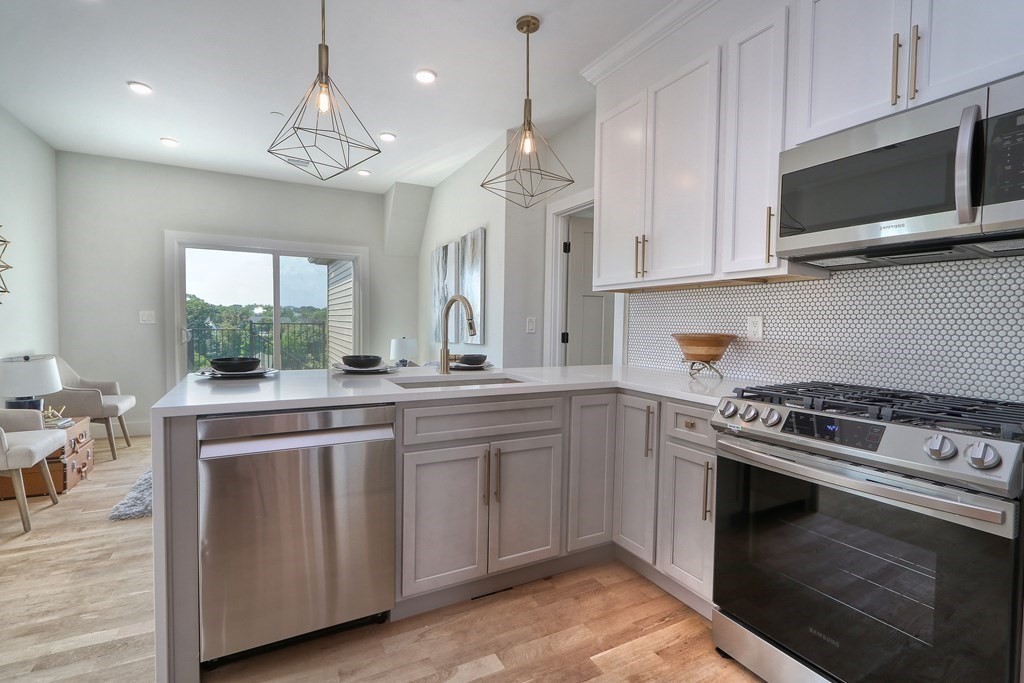 27 Alpine Street, Unit 3 Boston, MA 02119 - Photo 4 of 16 Gallery Image 4