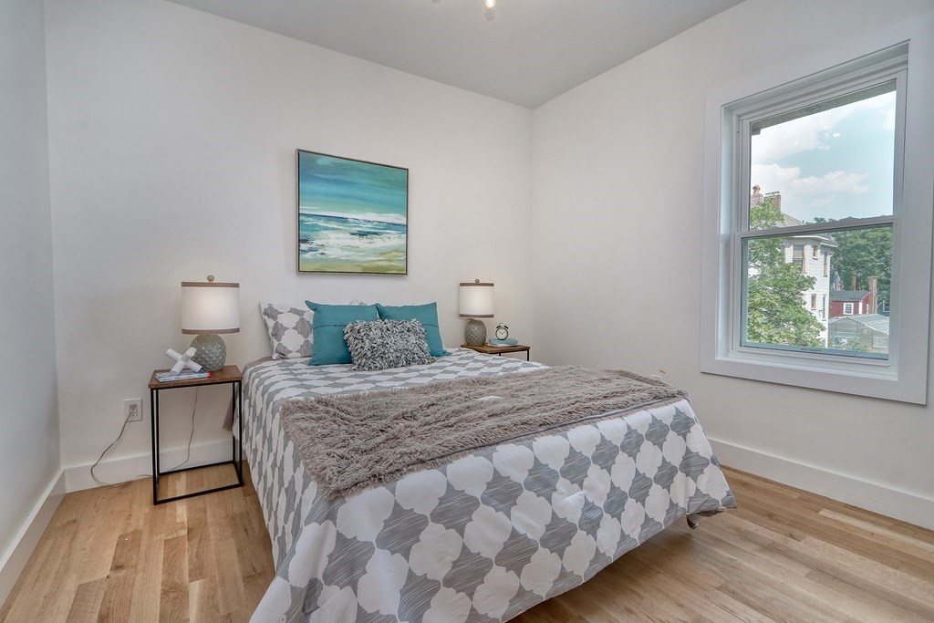 27 Alpine Street, Unit 3 Boston, MA 02119 - Photo 8 of 16 Gallery Image 8