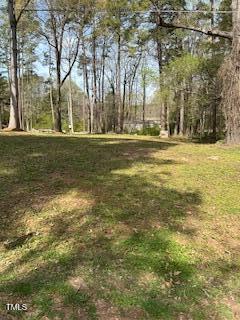 2292 Brad Lane Spring Hope, NC 27882 - Photo 3 of 9 a view of yard with tree
