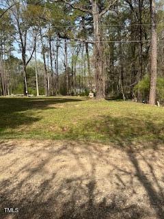 2292 Brad Lane Spring Hope, NC 27882 - Photo 4 of 9 a view of a large yard with large trees