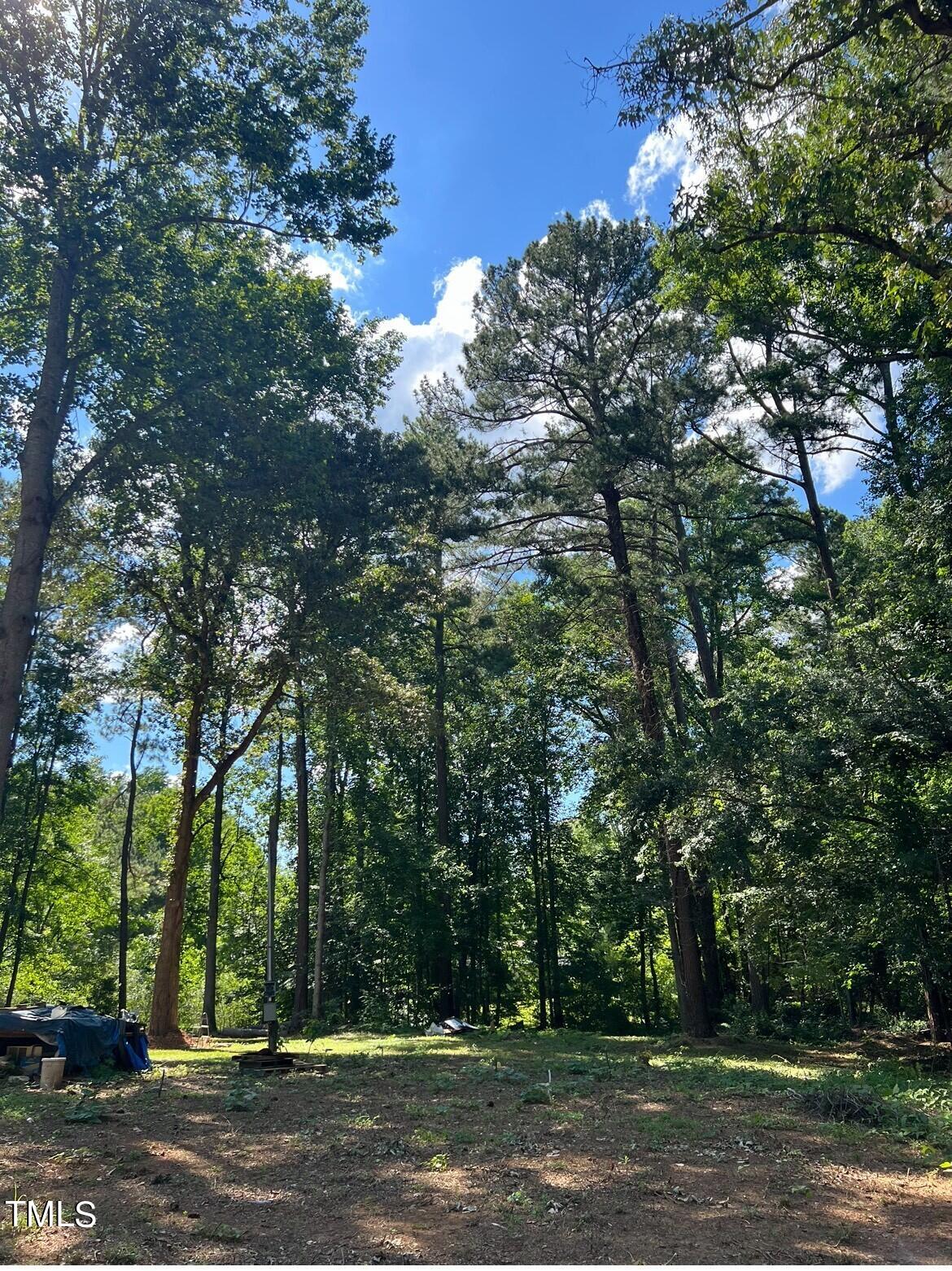 2292 Brad Lane Spring Hope, NC 27882 - Photo 9 of 9 a view of a yard