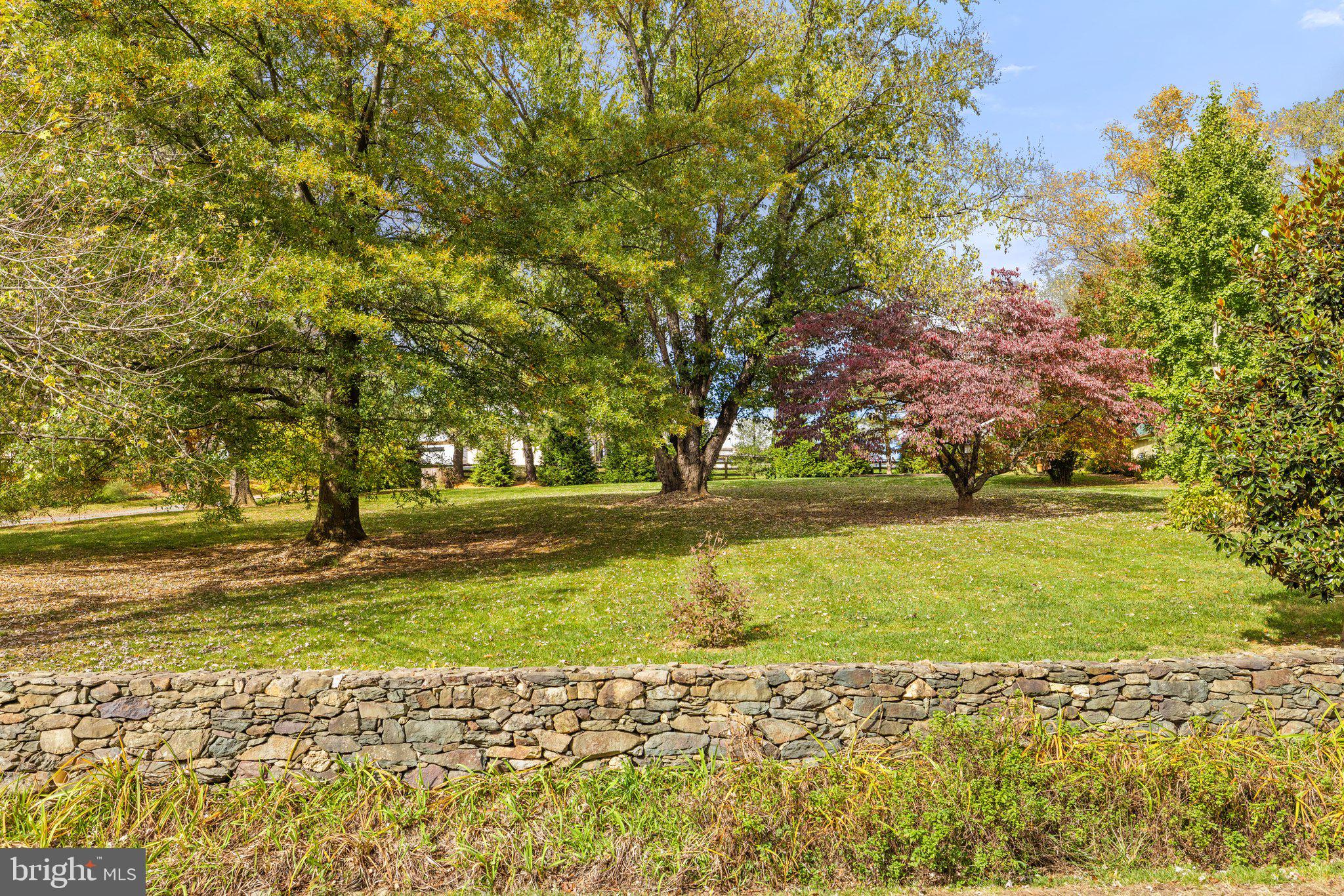 8436 Maidstone Road Marshall, VA 20115 - Photo 70 of 83