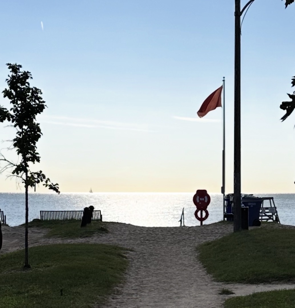 6325 North Sheridan Road, Unit 1602 Chicago, IL 60660 - Photo 36 of 37