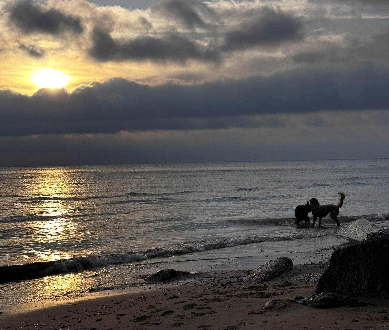 6325 North Sheridan Road, Unit 1602 Chicago, IL 60660 - Photo 37 of 37