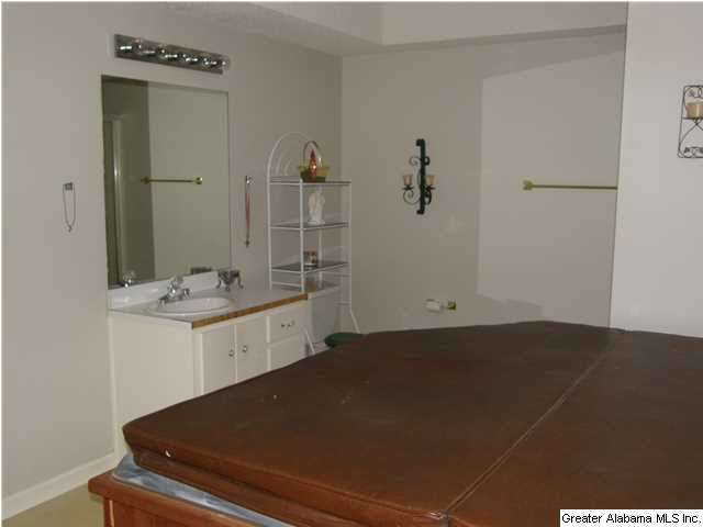 5540 Miles Spring Road Pinson, AL 35126 - Photo 19 of 28