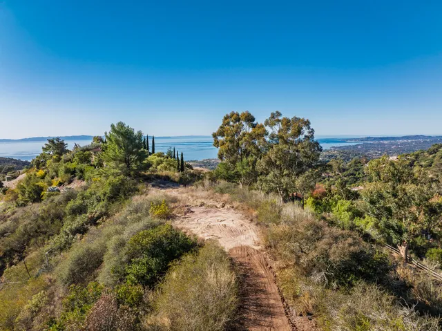a view of a house with a yard and hanging chair