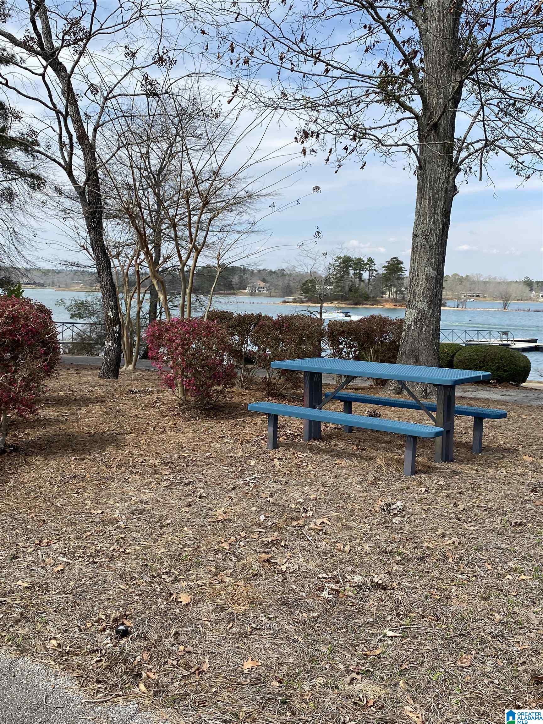Lot 37 Stoney Point Road South, Unit 37 Double Springs, AL 35553 - Photo 26 of 33