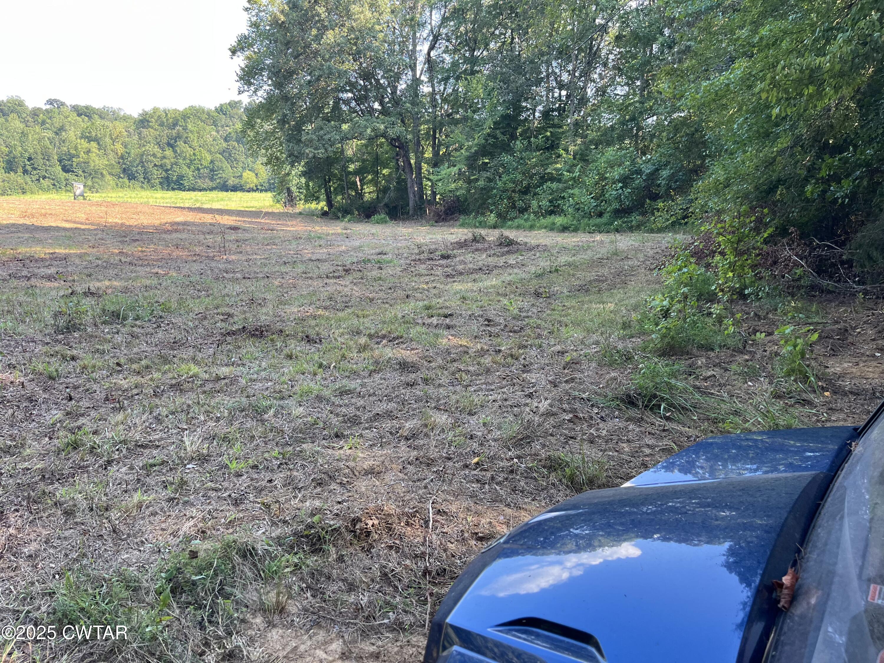 0 Cane Creek Road Lexington, TN 38351 - Photo 11 of 17 a view of an outdoor space and a yard