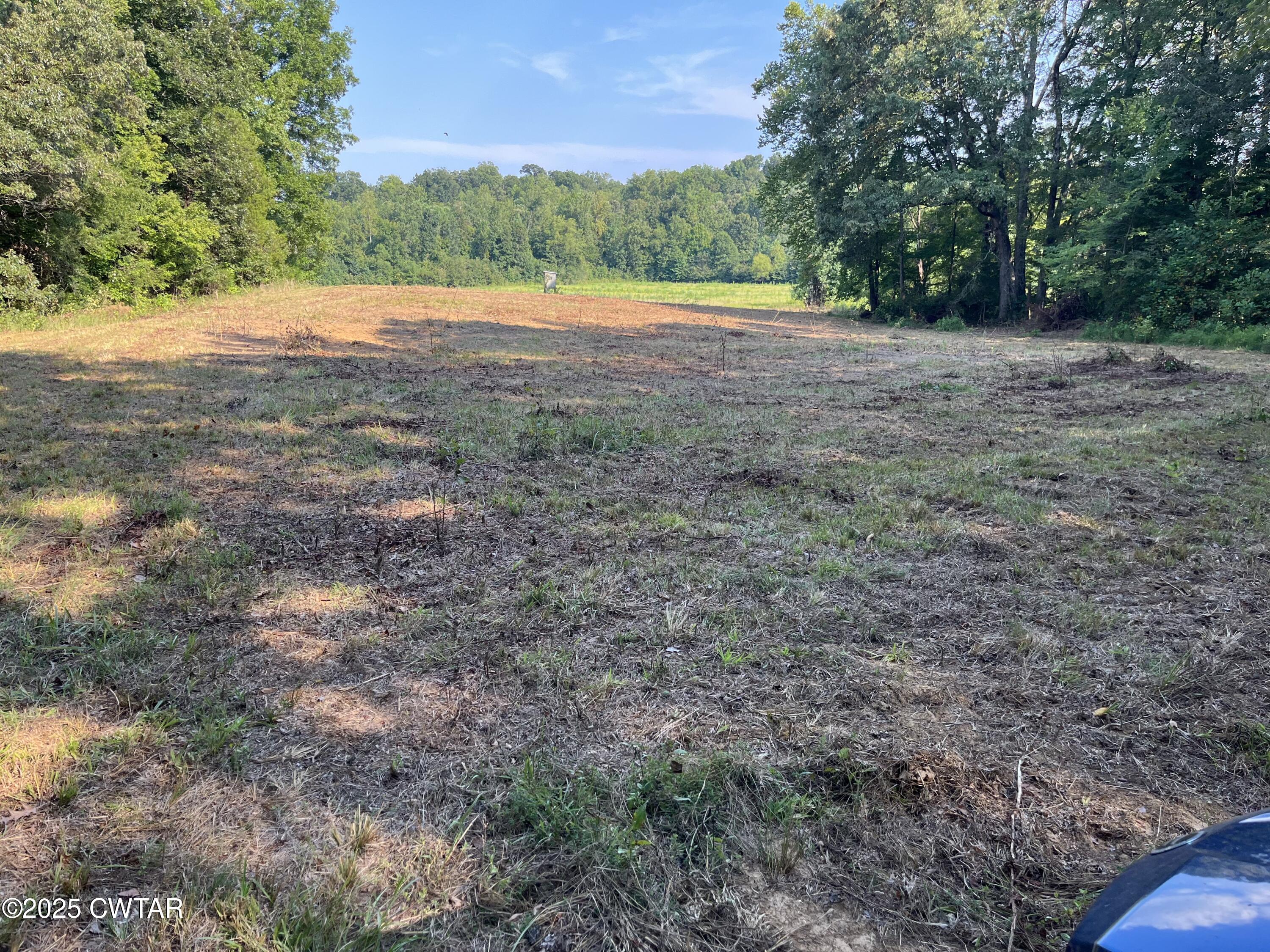 0 Cane Creek Road Lexington, TN 38351 - Photo 12 of 17 a view of an outdoor space with a lake view