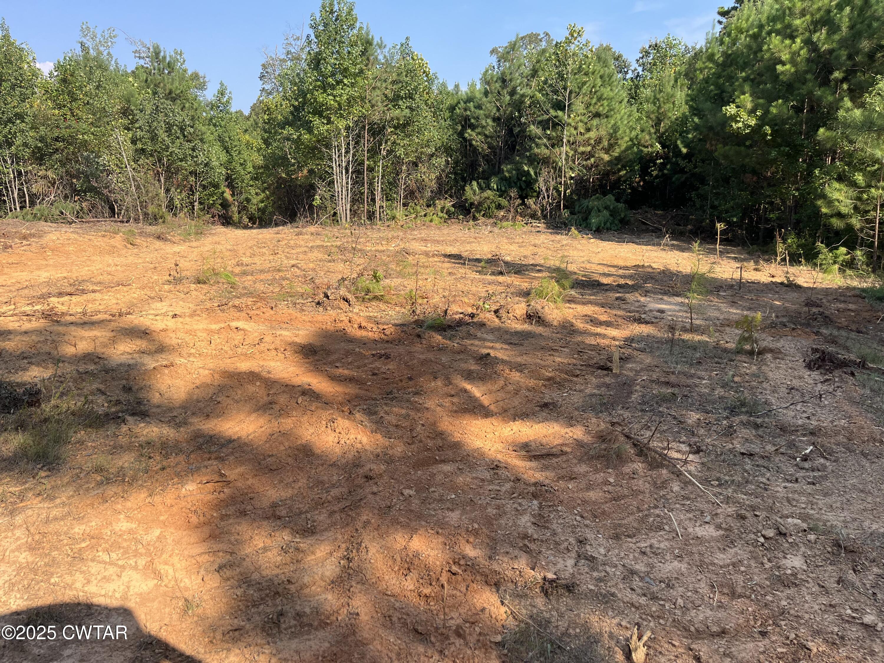 0 Cane Creek Road Lexington, TN 38351 - Photo 15 of 17 a view of empty space with mountain view