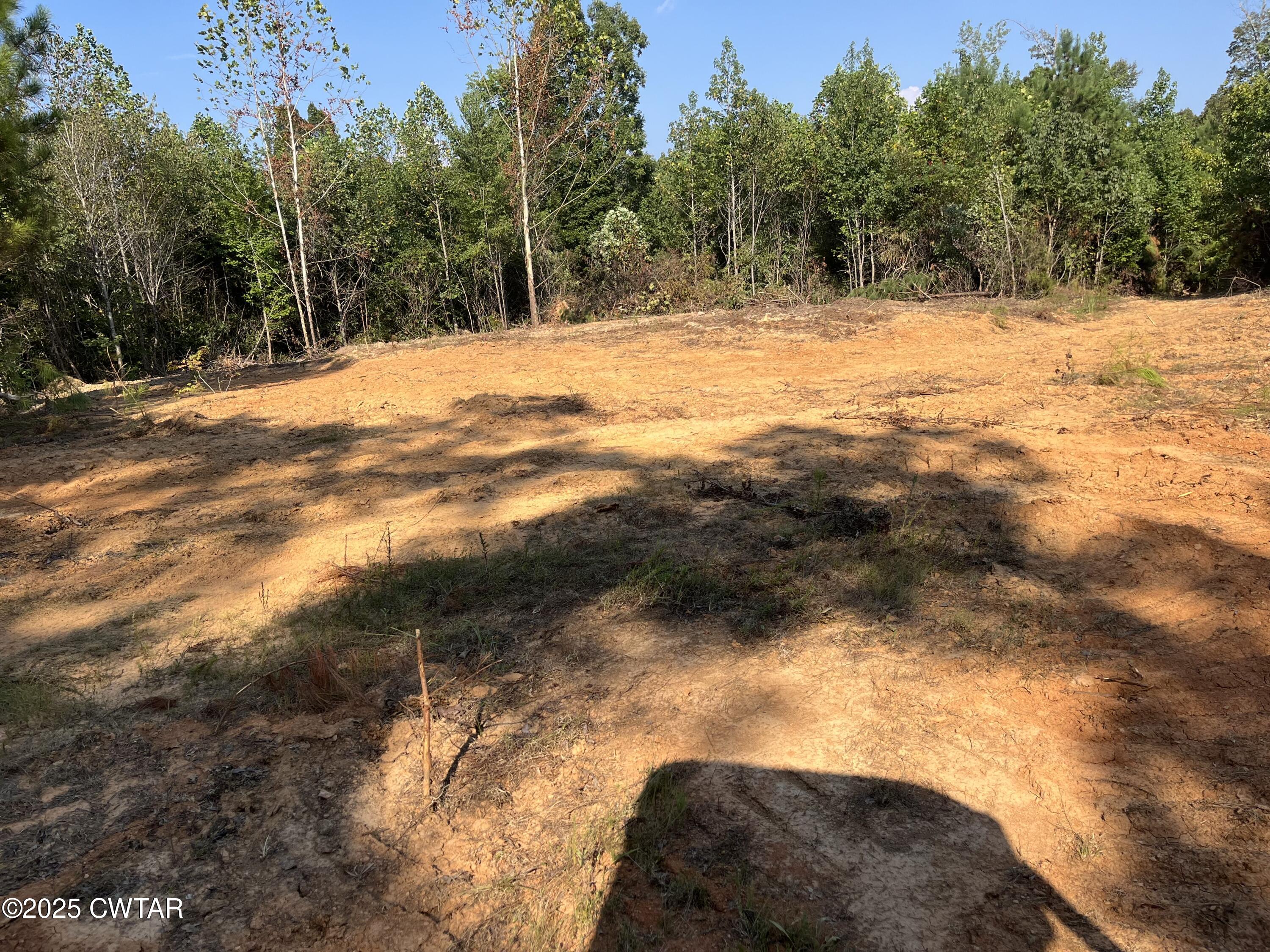 0 Cane Creek Road Lexington, TN 38351 - Photo 16 of 17 a view of ocean view with trees