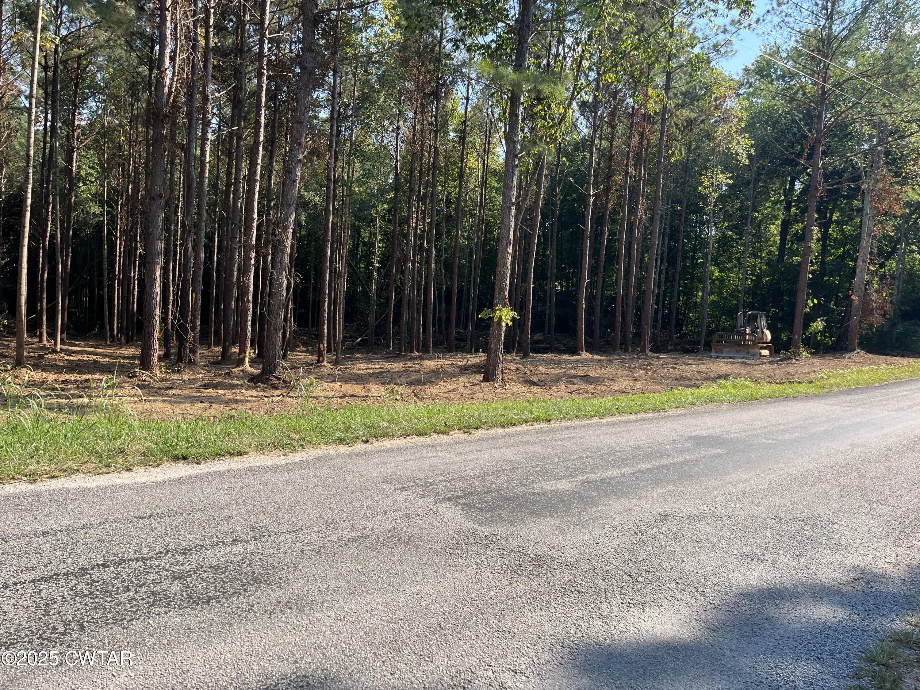0 Cane Creek Road Lexington, TN 38351 - Photo 2 of 17 a view of outdoor space with trees