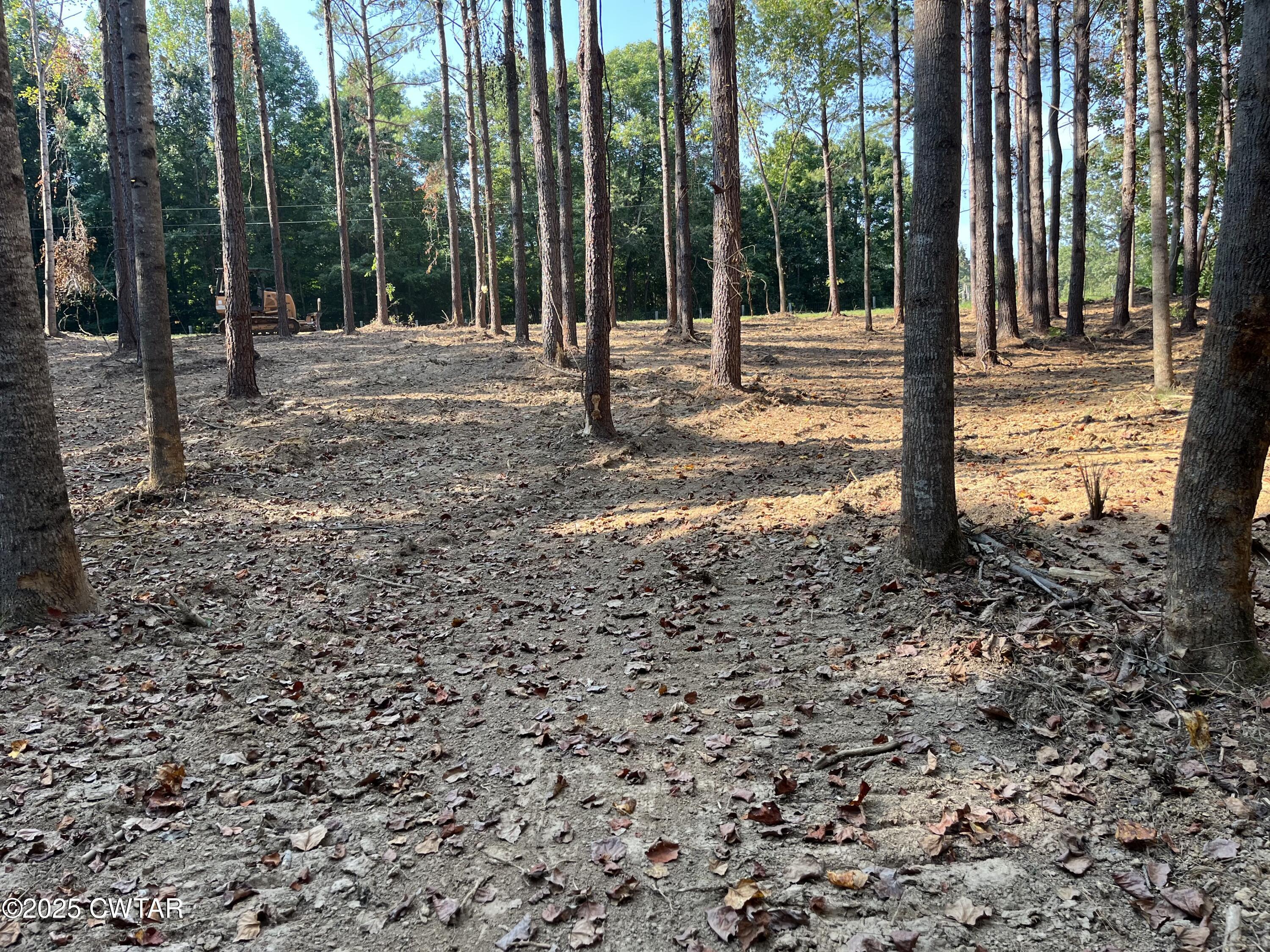 0 Cane Creek Road Lexington, TN 38351 - Photo 3 of 17 a view of a backyard with garden