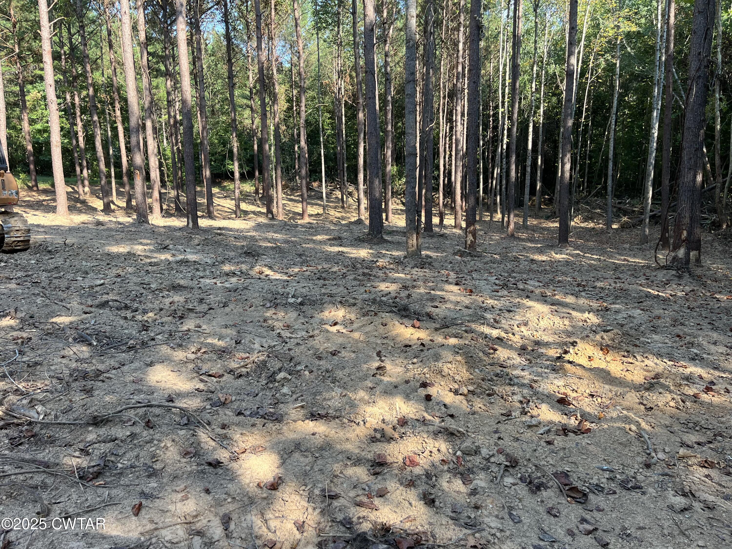 0 Cane Creek Road Lexington, TN 38351 - Photo 4 of 17 a view of outdoor space with deck and trees