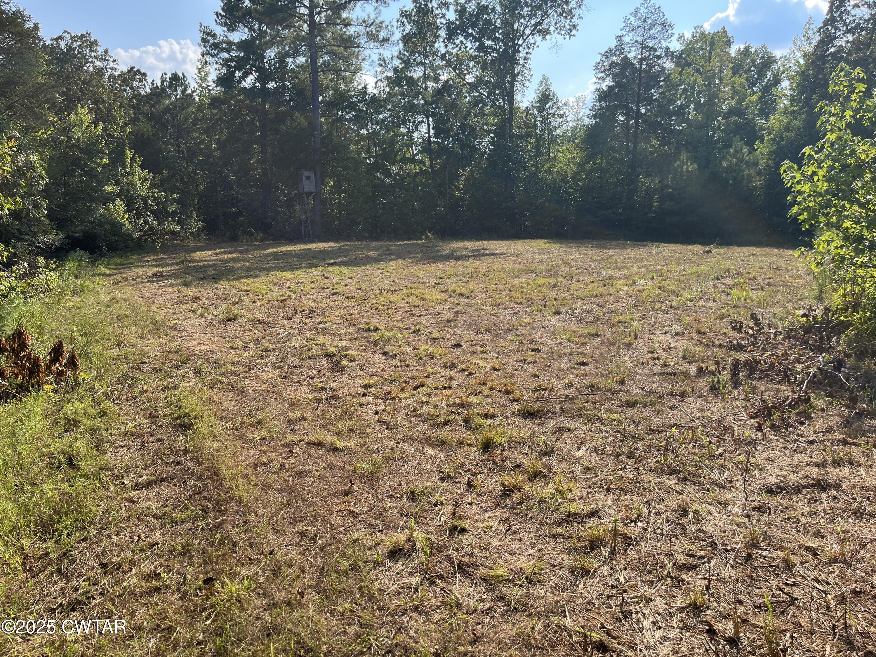 0 Cane Creek Road Lexington, TN 38351 - Photo 5 of 17 a view of a yard with a house
