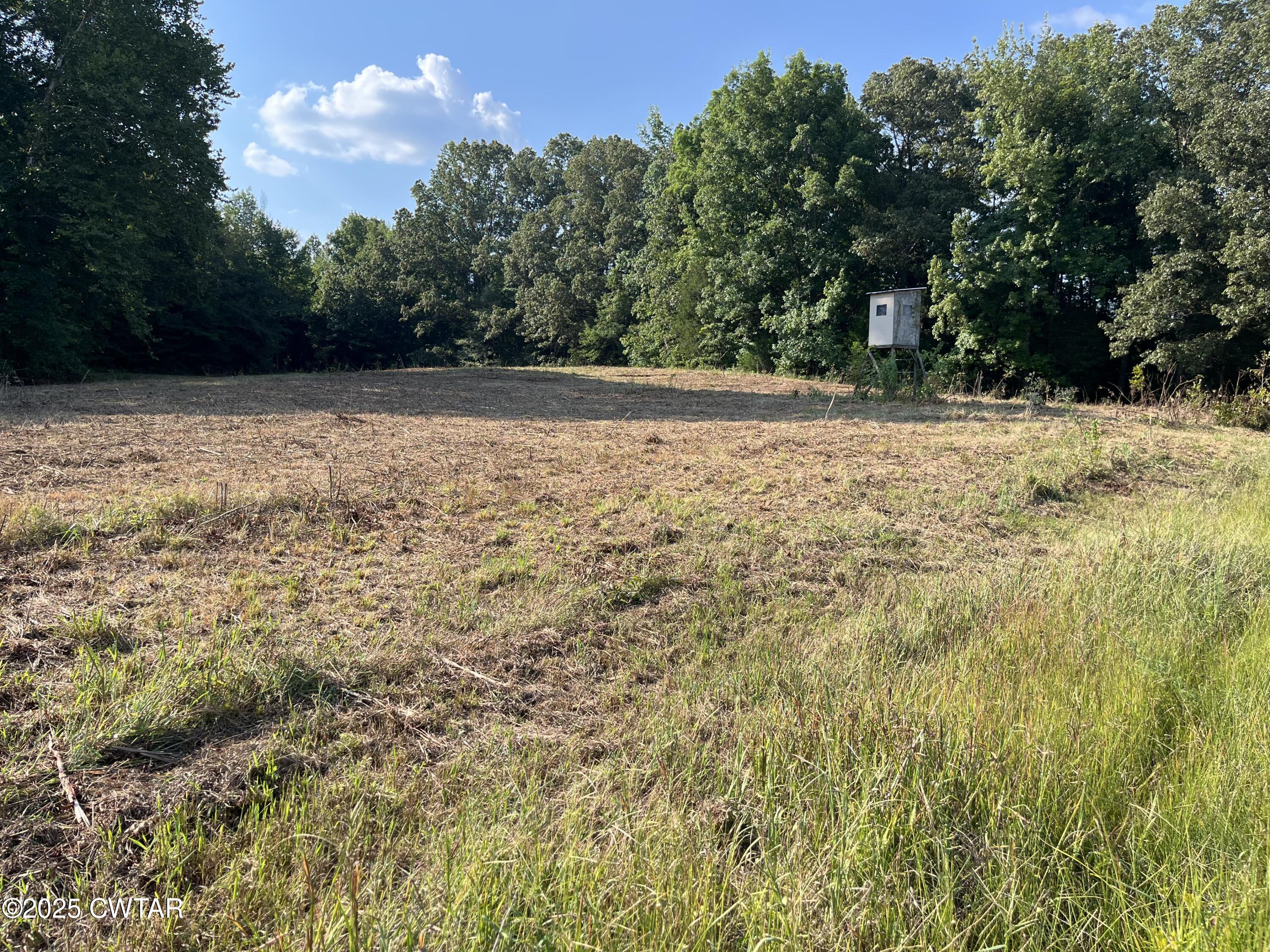 0 Cane Creek Road Lexington, TN 38351 - Photo 6 of 17 a view of outdoor space and yard
