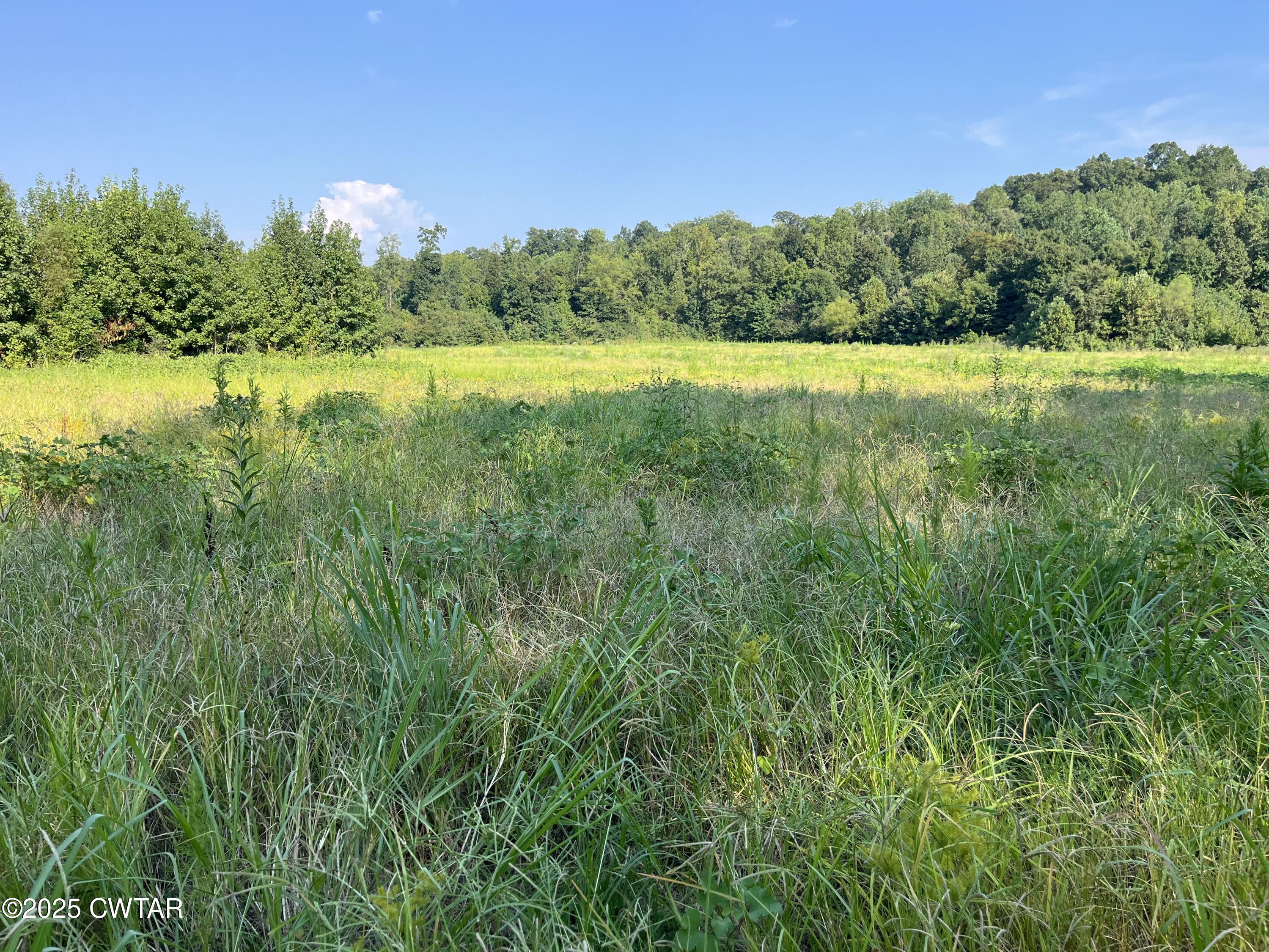 0 Cane Creek Road Lexington, TN 38351 - Photo 7 of 17 a view of outdoor space and yard