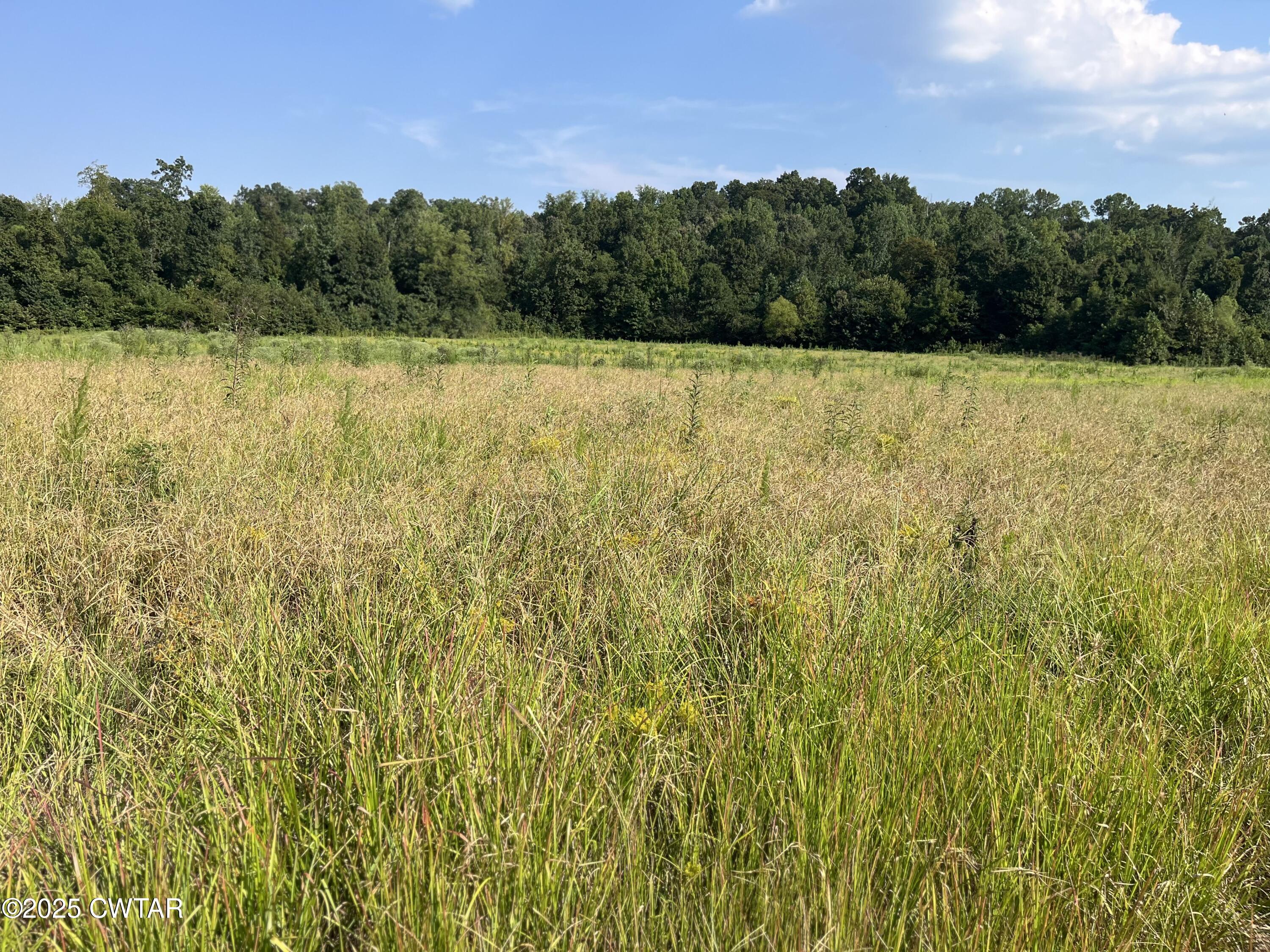 0 Cane Creek Road Lexington, TN 38351 - Photo 9 of 17 a view of a green field with a view of mountains in the background