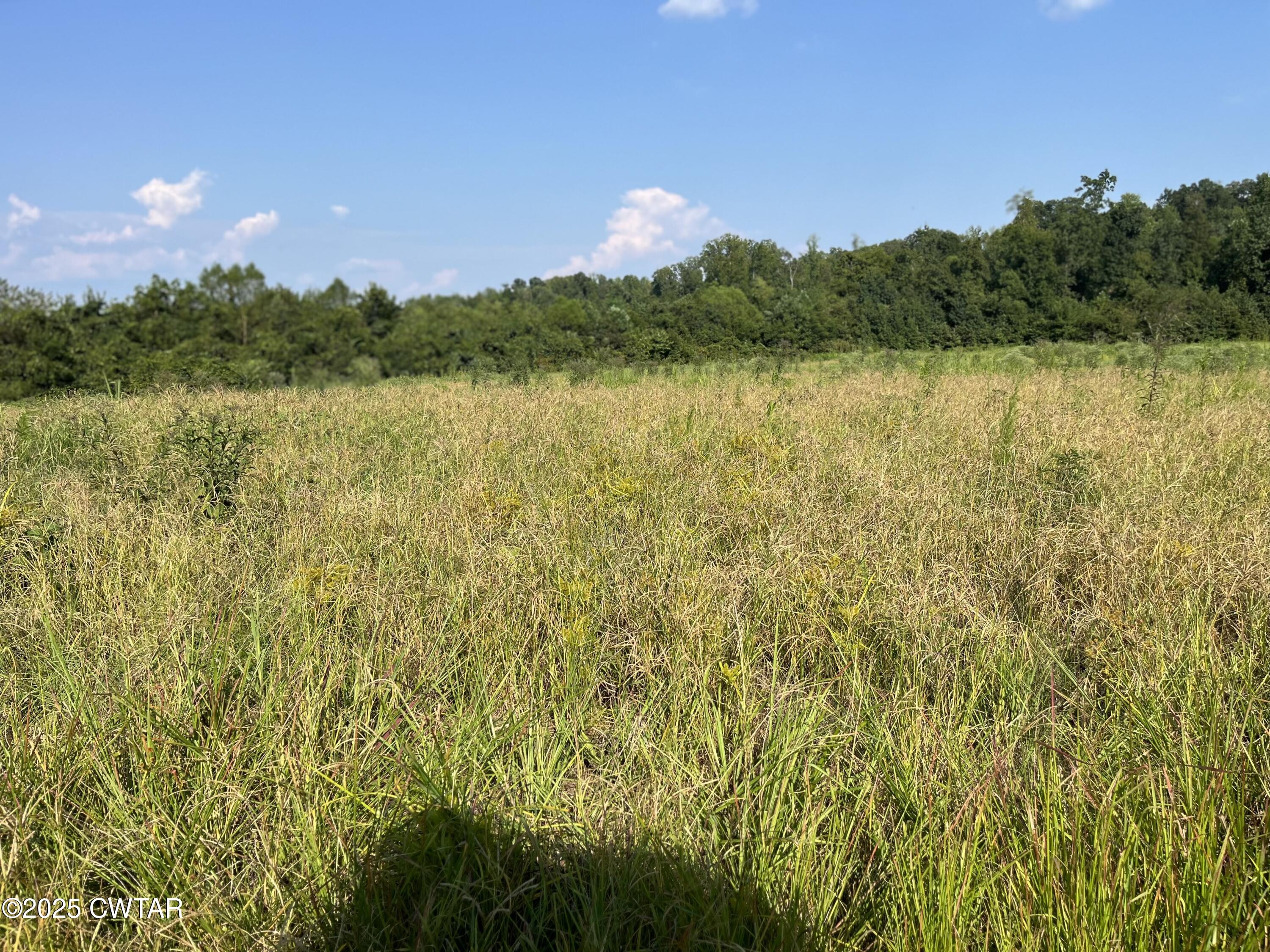 0 Cane Creek Road Lexington, TN 38351 - Photo 10 of 17 a view of lake with green space