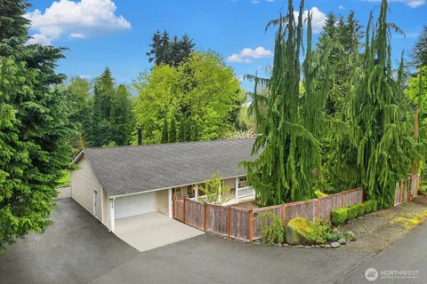 a view of a house with a small yard and large tree