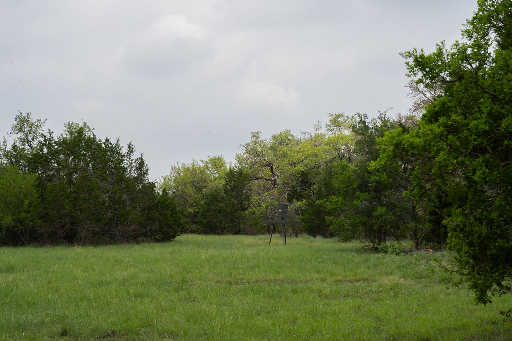 426 Mill Run New Braunfels, TX 78132 - Photo 26 of 40 a view of a field of grass and trees