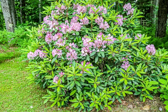 $744,900 | 189 Center Hill Road, Weld, ME 04285