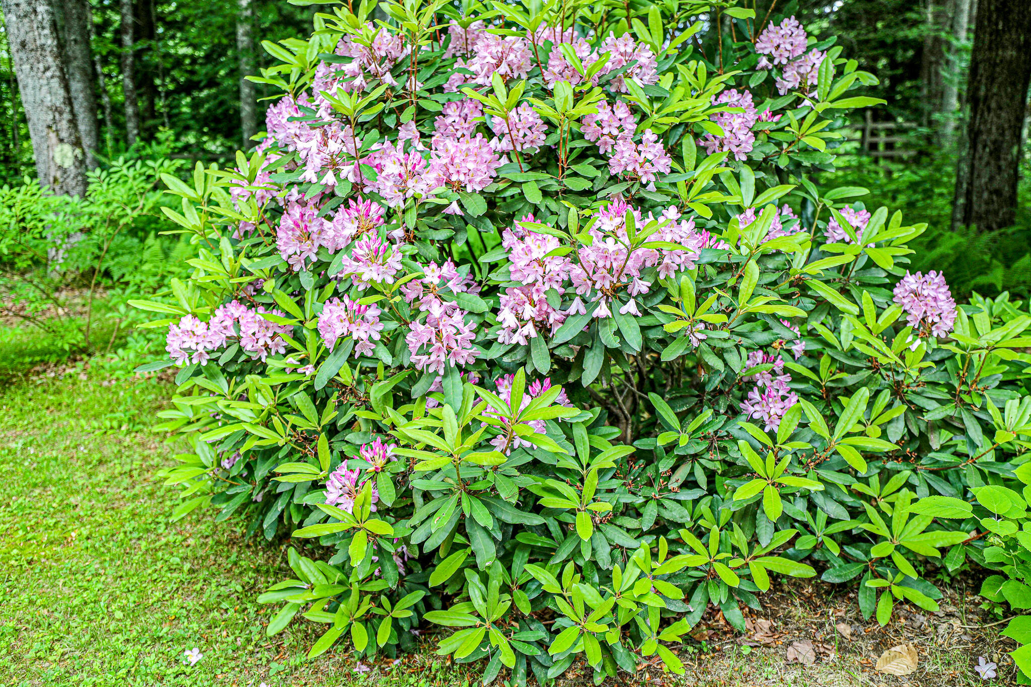 189 Center Hill Road Weld, ME 04285 - Photo 84 of 95 75