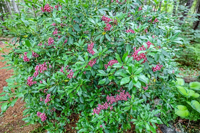 $744,900 | 189 Center Hill Road, Weld, ME 04285