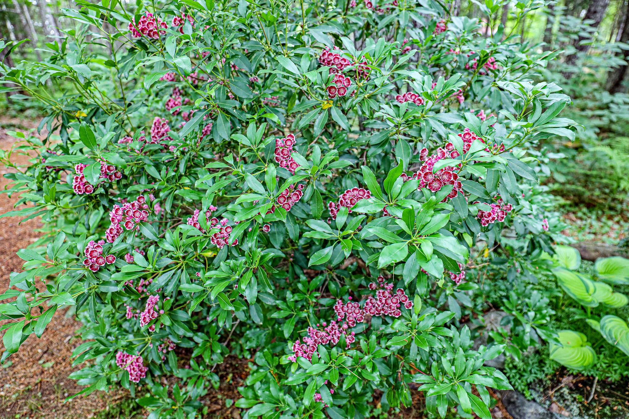 189 Center Hill Road Weld, ME 04285 - Photo 87 of 95 78