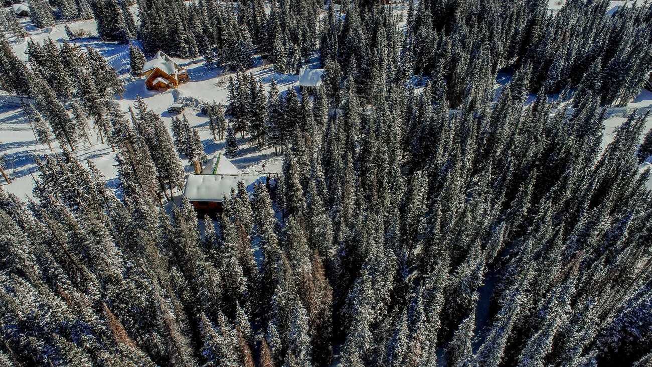 229 Lee Lane Breckenridge, CO 80424 - Photo 42 of 49 a bird view of forest