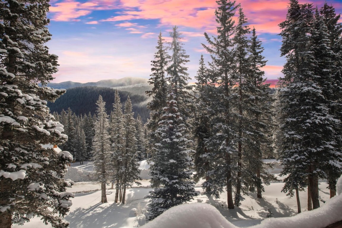 229 Lee Lane Breckenridge, CO 80424 - Photo 6 of 49