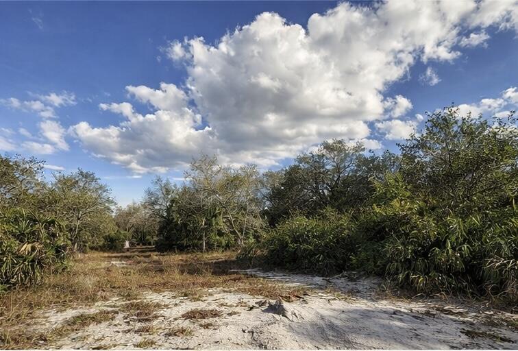 0 Northwest 294th Okeechobee, FL 34972 - Photo 5 of 5 a view of a big yard