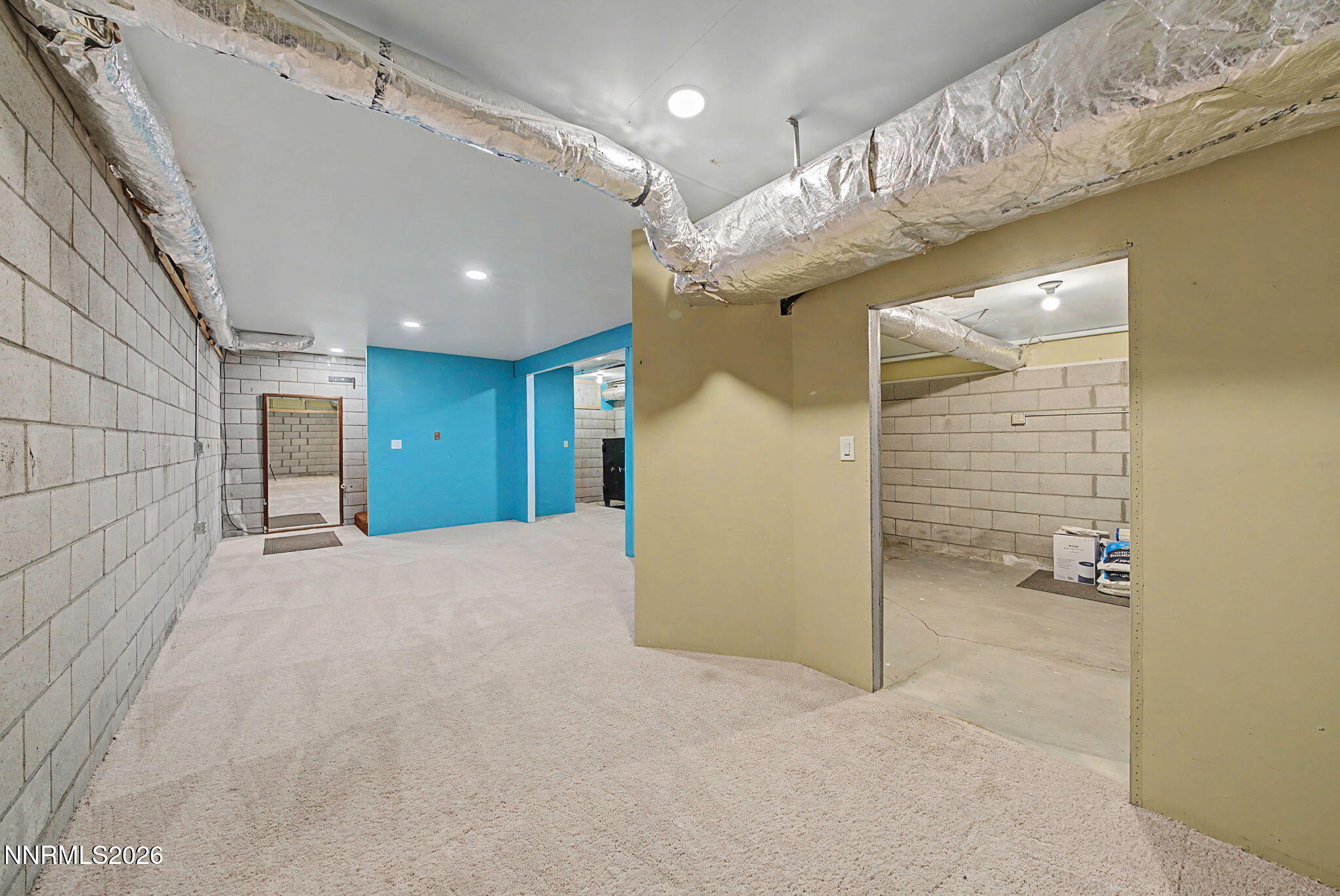 329 River Road Dayton, NV 89403 - Photo 50 of 68 60-58_DSC02846-Edit