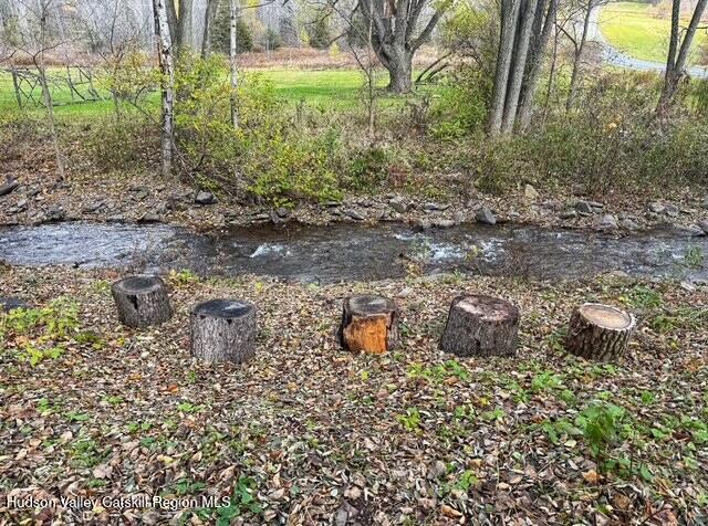 8 Don Irwin Road Prattsville, NY 12468 - Photo 8 of 33 08