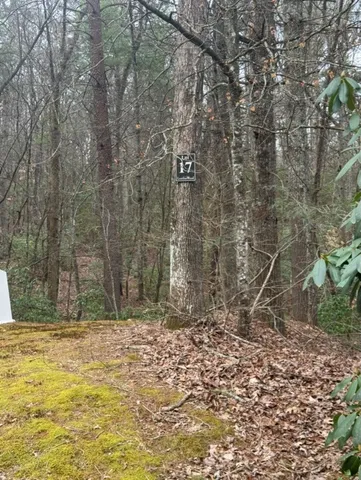 a view of house with a yard