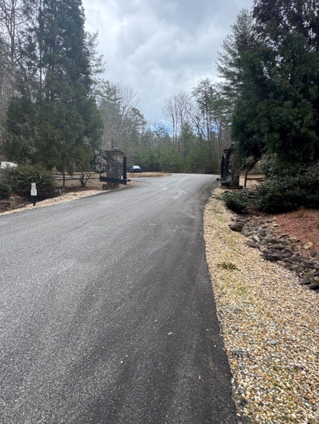 16 R Leatherwood Mountain Road Cherry Log, GA 30522 - Photo 4 of 13