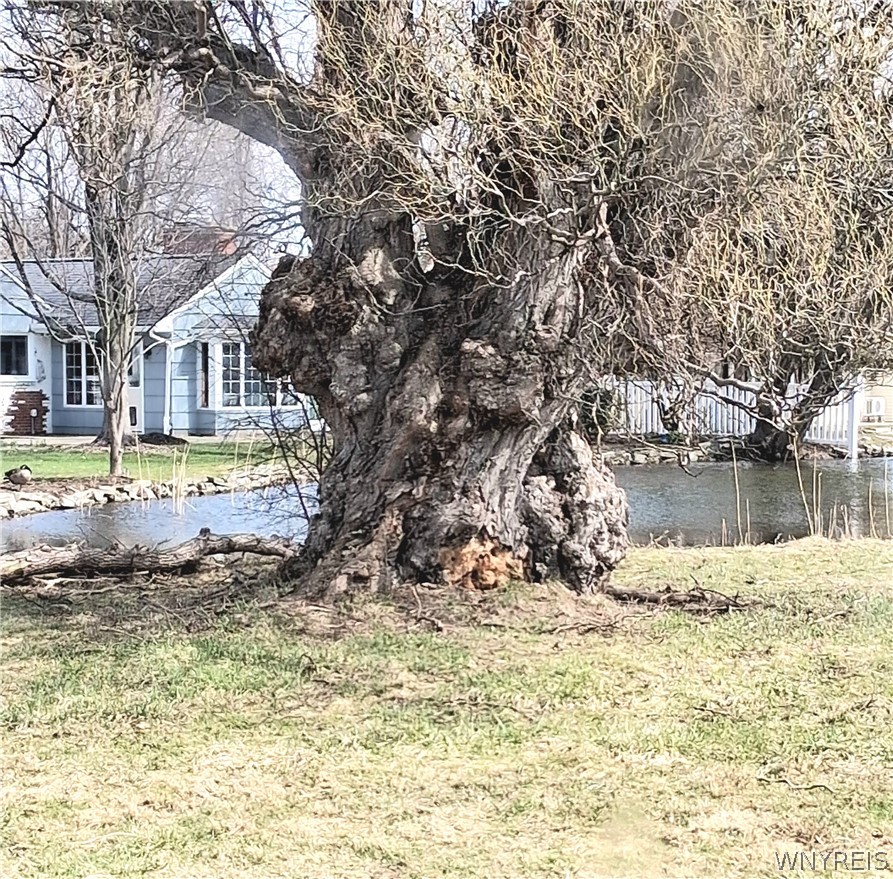 120 Westchester Road Amherst, NY 14221 - Photo 7 of 8