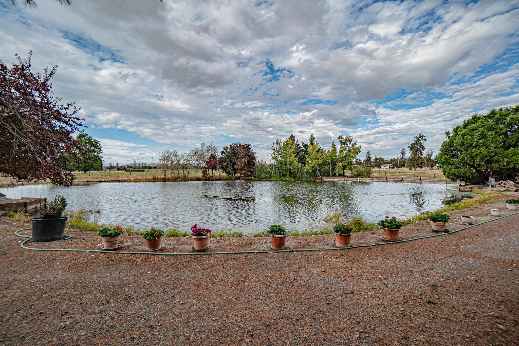5275 Gebhard Road Central Point, OR 97502 - Photo 2 of 22 DSC04265-HDR