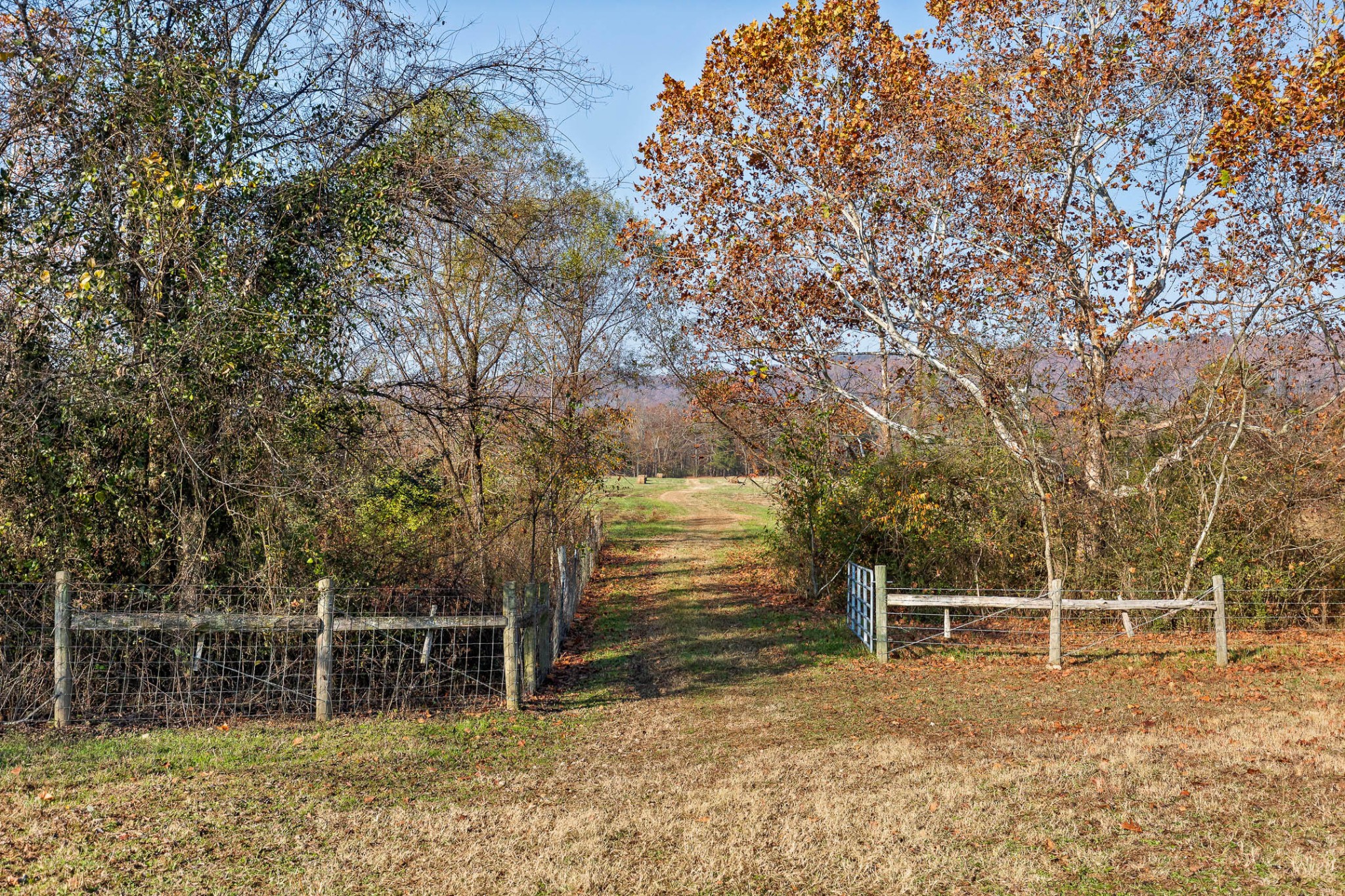 588 Piney Road Trenton, GA 30752 - Photo 24 of 35 Gallery Image 24