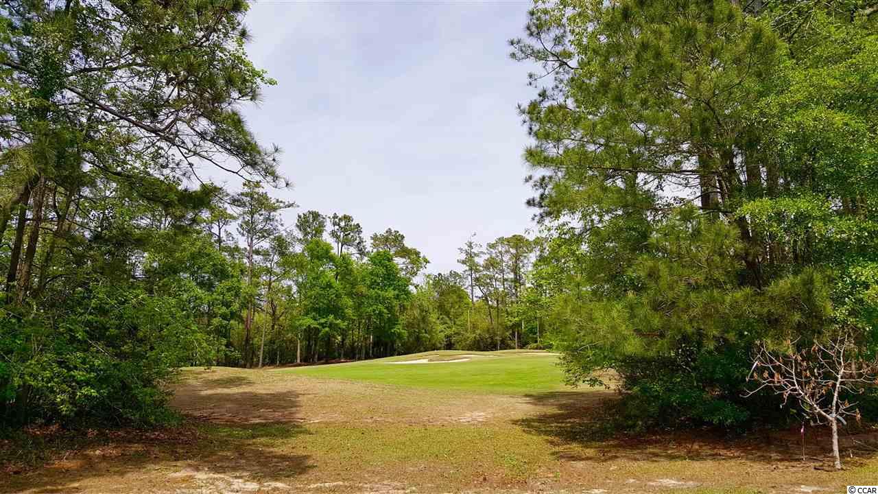 4612 Fringetree Drive Murrells Inlet, SC 29576 - Photo 23 of 25 Gallery Image 23