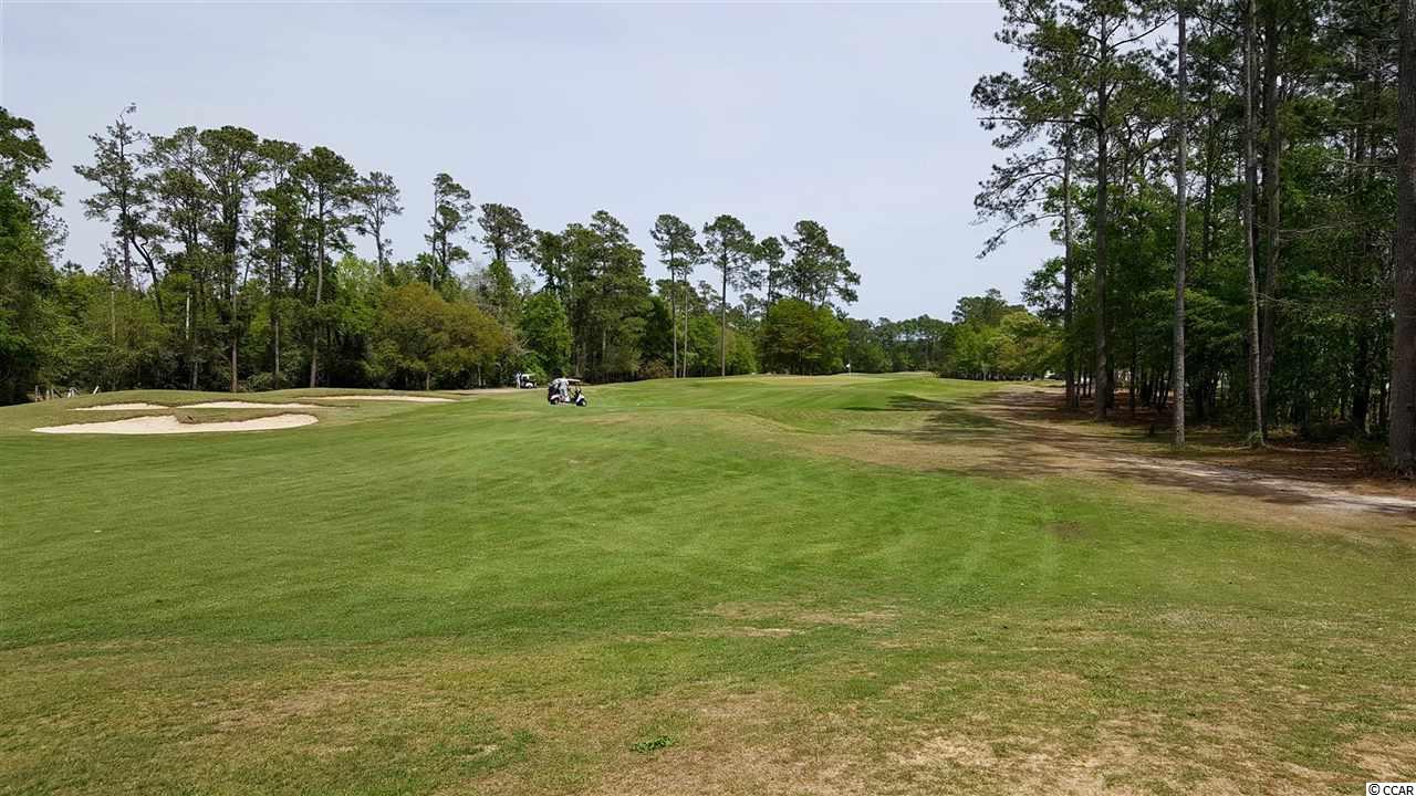 4612 Fringetree Drive Murrells Inlet, SC 29576 - Photo 24 of 25 Gallery Image 24