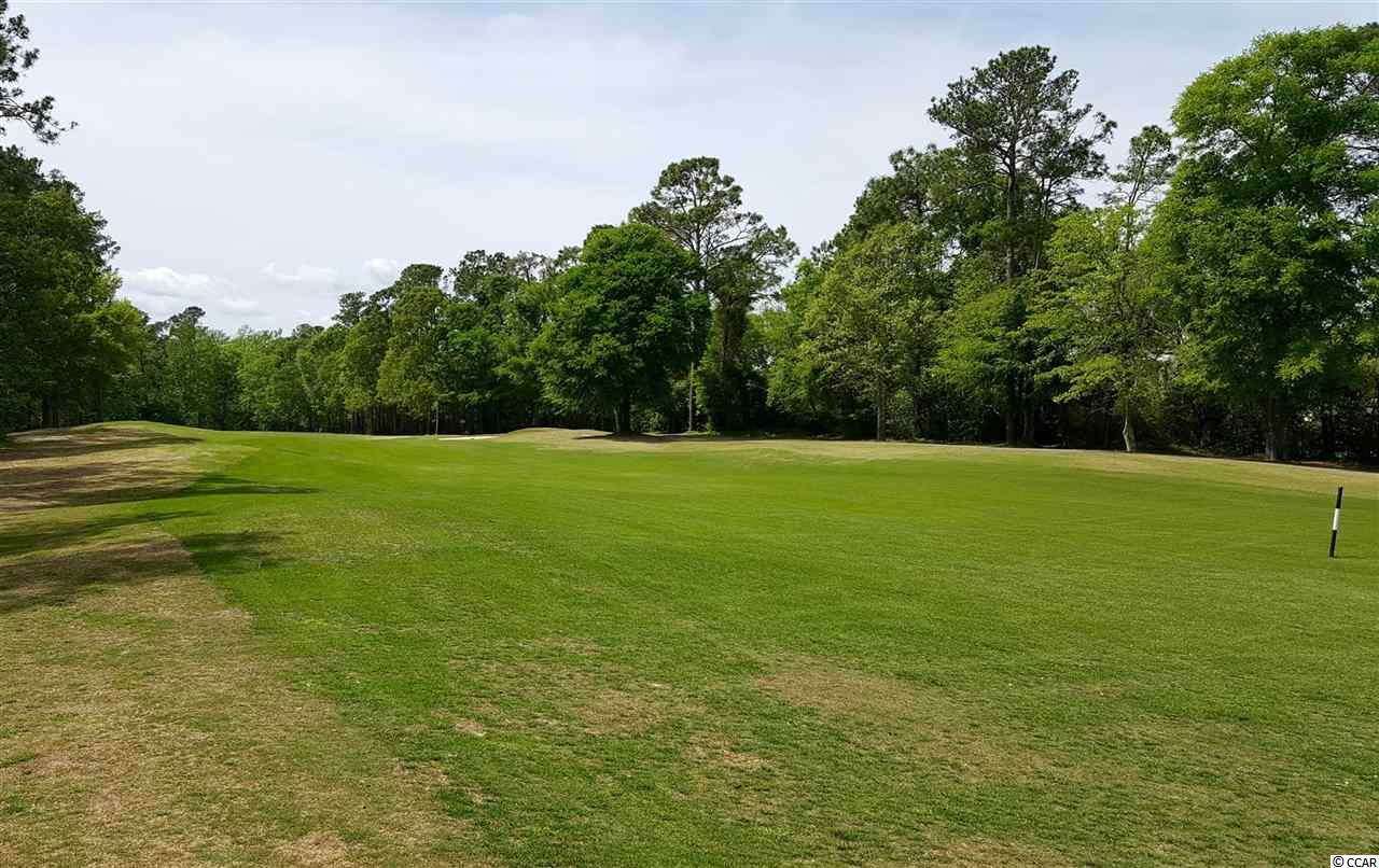 4612 Fringetree Drive Murrells Inlet, SC 29576 - Photo 25 of 25 Gallery Image 25
