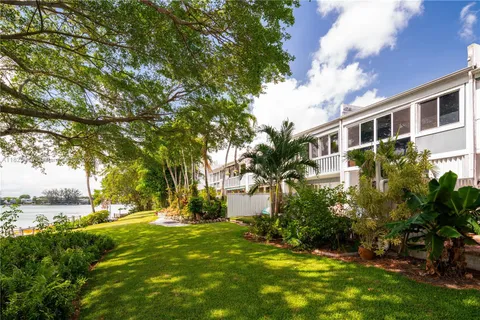 a view of a yard with plants and trees
