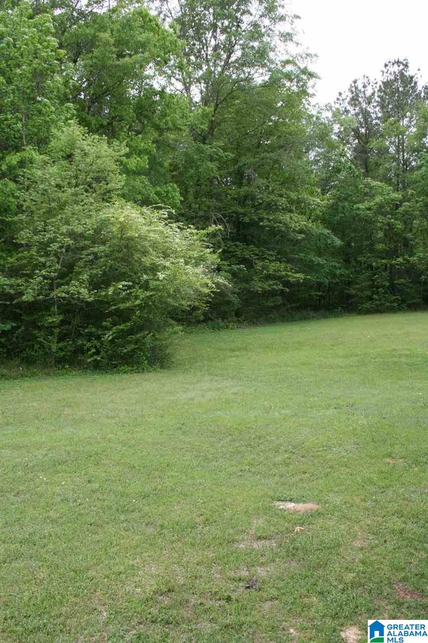 7340 Highway 144 Ragland, AL 35131 - Photo 31 of 40