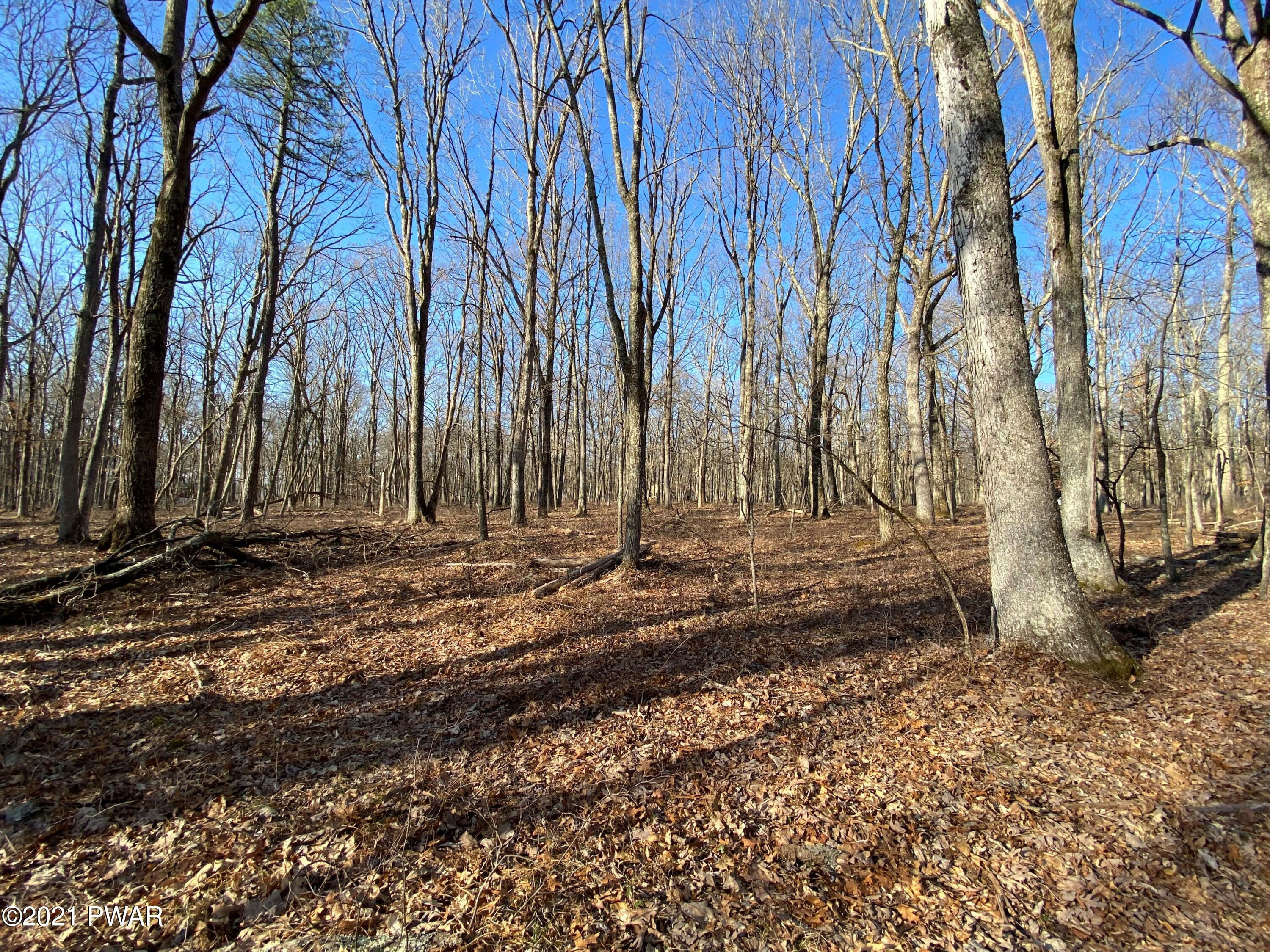 Lot 104 Mountaintop Road Lackawaxen, PA 18435 - Photo 1 of 7