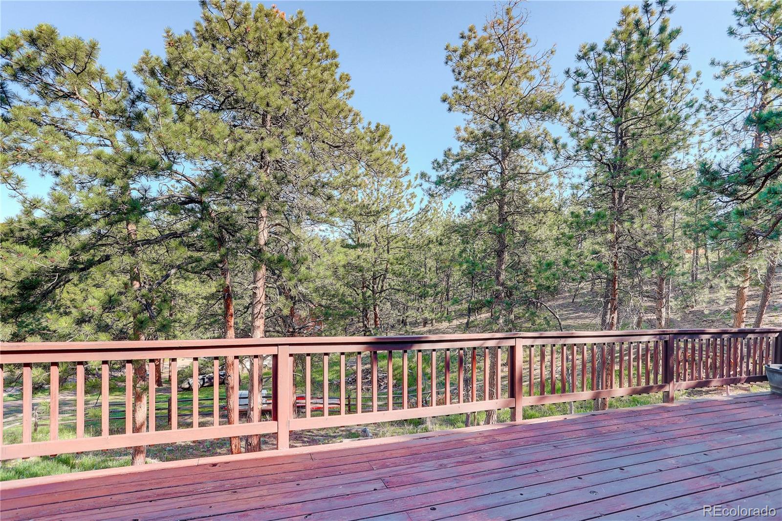 78 Grouse Lane Bailey, CO 80421 - Photo 11 of 31